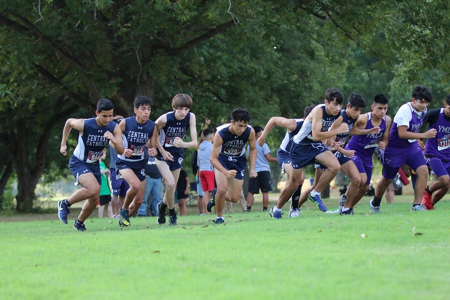 Button XC earns recognition during Fall season