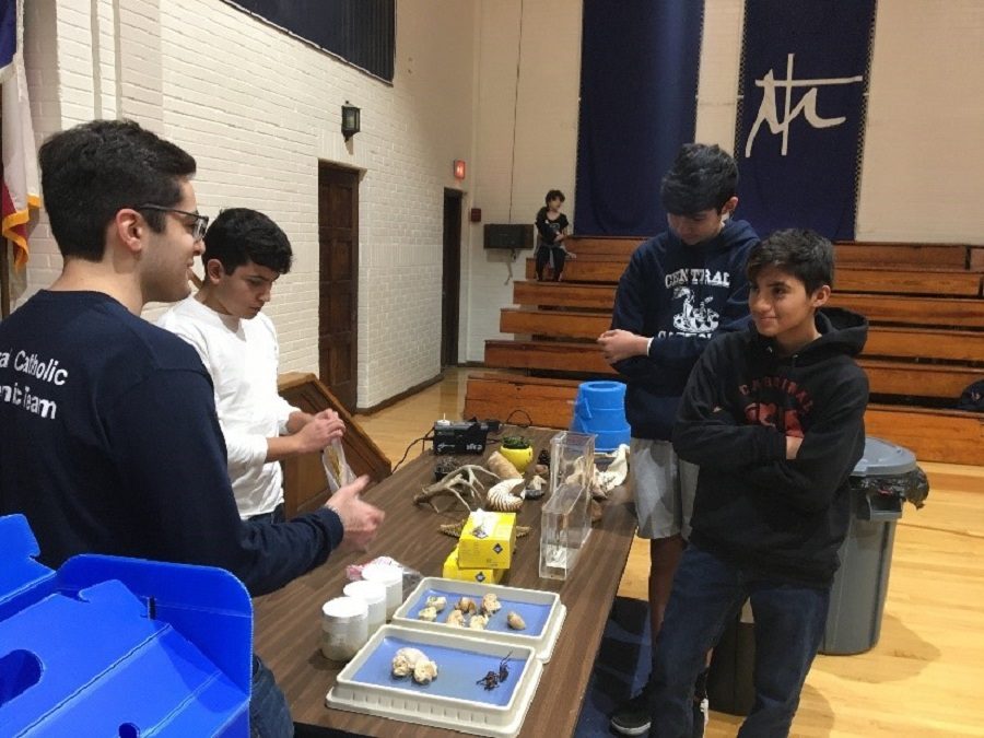 Central showcases Sciences during Mole Day